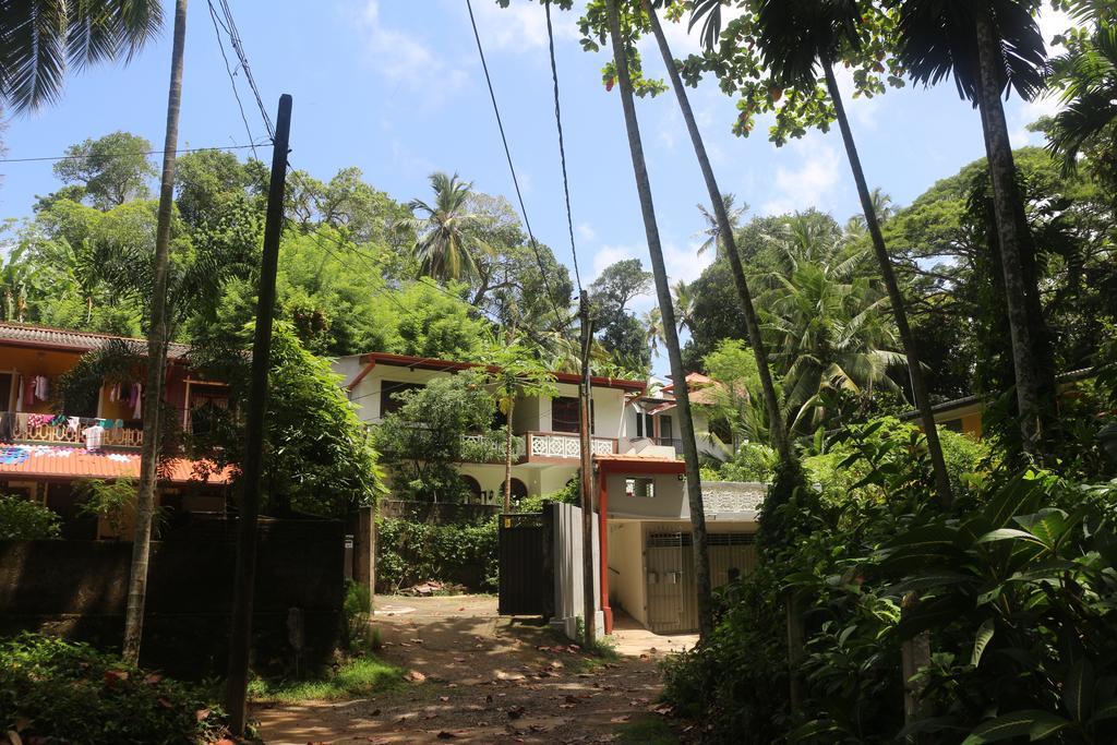 Jungle Guest House Galle Dış mekan fotoğraf